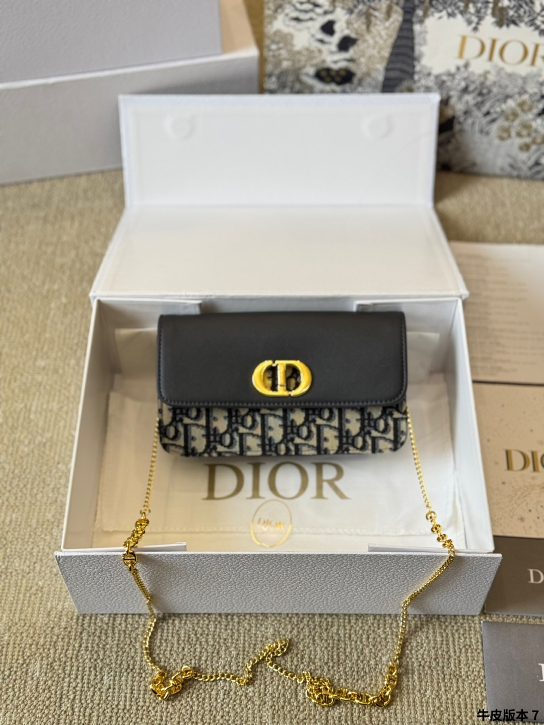DIOR bag 381